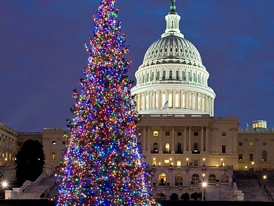 4-H youths help bring Nevada spirit to the nation’s capitol this Christmas
