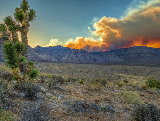 After pushback from local communities, BLM restarts process to come up with plan for rural lands