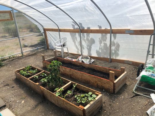 Annual Nevada Tribal Food Summit teaches food sovereignty