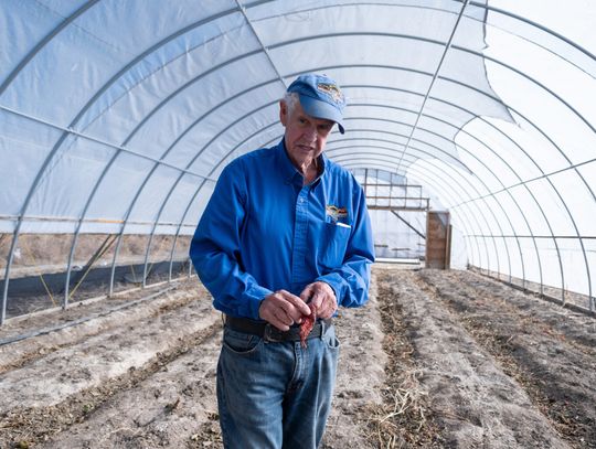 As Nevada farmers retire, few taking their place as number of farms continues to shrink