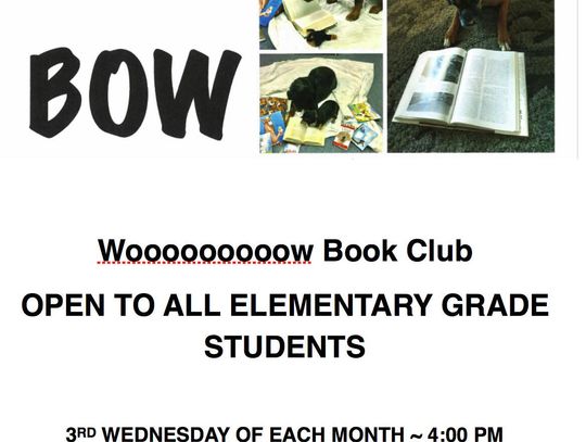 Bow WoooW Book Club at Fernley Library March 13 2018