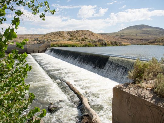 Dam bypass to open endangered Northern Nevada fish spawning grounds cut off for a century