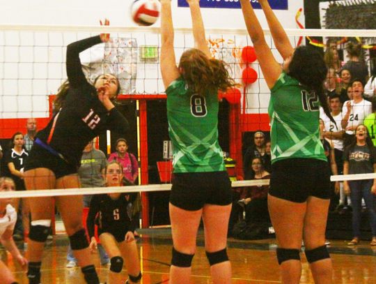 Fallon volleyball tops Fernley
