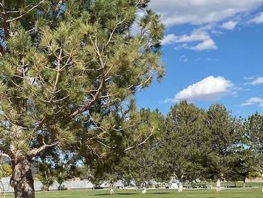 Fernley cemetery master plan aims to create more welcoming, park-like space