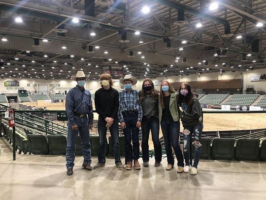 Fernley FFA wins awards at UC Davis livestock judging contest