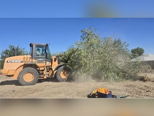 Fernley seeks volunteers, community support for future garden project