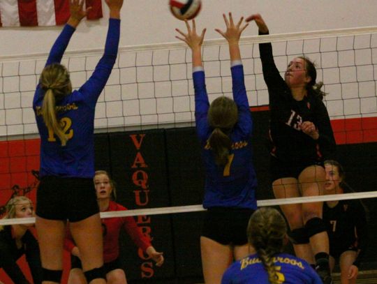 Fernley volleyball tops Lowry to pull into first-place tie