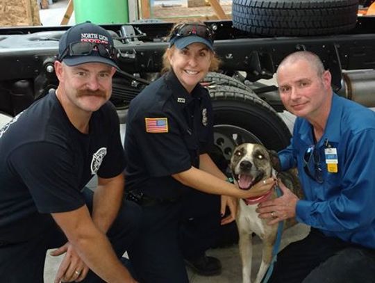 Firefighters rescue dog with head stuck in jar