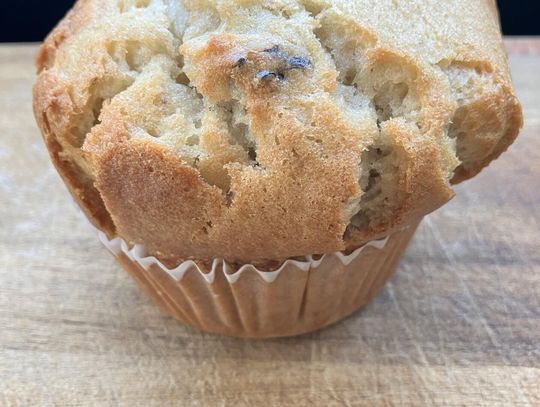 Food For Thought  - Cranberry Oatmeal Muffins