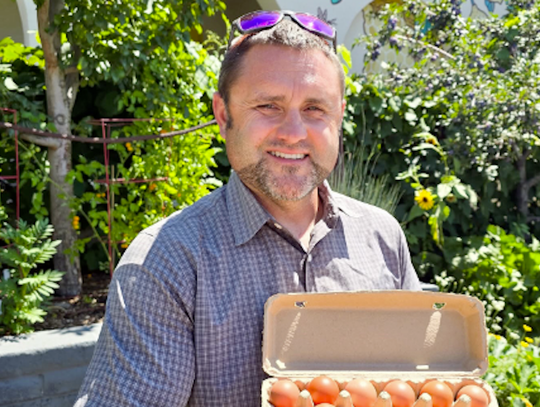 Frey turns to chickens for soil health in regenerative farming shift
