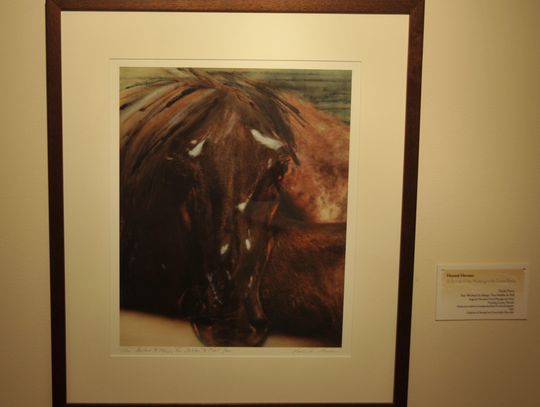‘Honest Horses’ exhibit takes peek at mustang culture