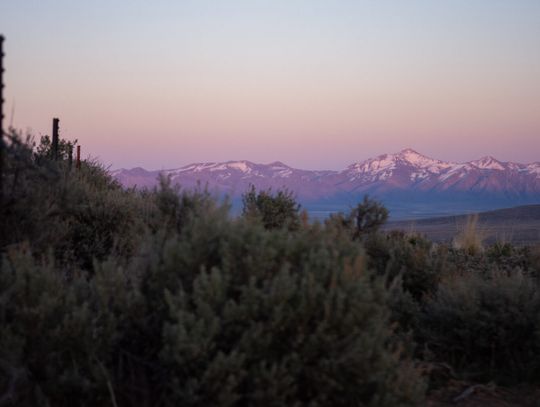 Judge denies Reno-Sparks Indian Colony, Burns Paiute Tribe request to halt activity at Thacker Pass mine site