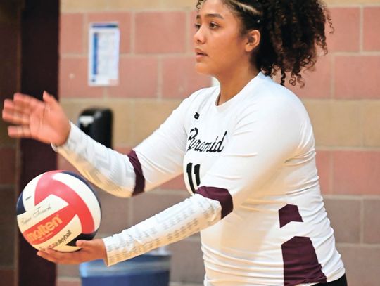 Lakers’ volleyball claims No. 2 seed for 1A West Volleyball Tournament