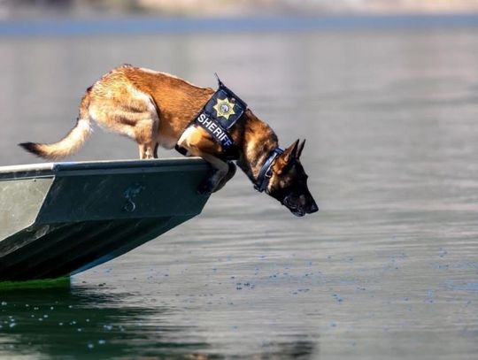 LCSO announces death of Search & Rescue K-9