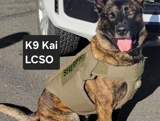 LCSO K9 Blady repeats as Top Dog at Regional K9 Challenge