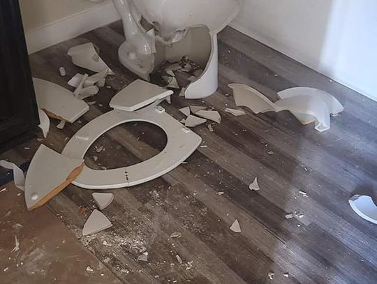 LCSO looking for person who vandalized new homes