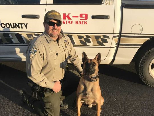 LCSO to receive grant for K-9 program