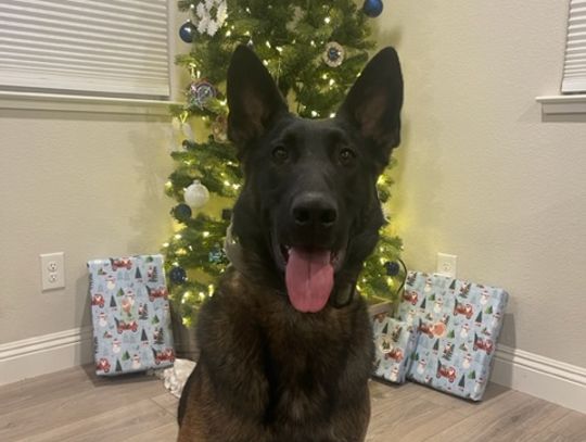 Lyon County Sheriff’s Office K9 Ares to get donation of body armor