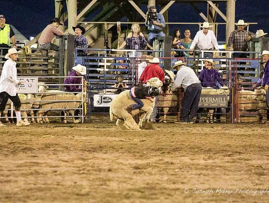 “Mutton Bustin'” at the Senior Pro Rodeo Aug. 13