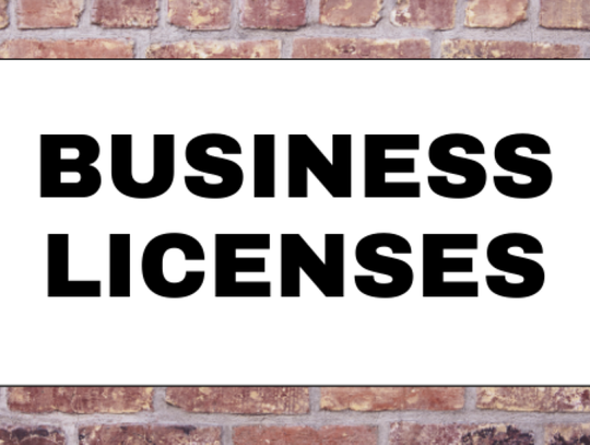 New business licenses