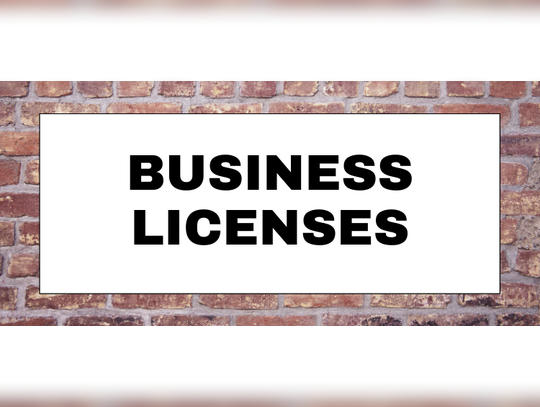New business licenses