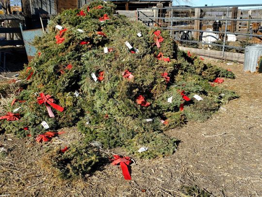 NNVMC Wreaths Recycling Program Flourishing with Help from High Desert Grange
