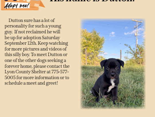Pet of the Week