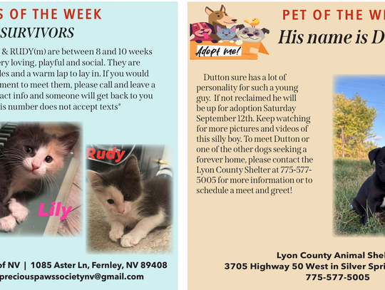 Pets of the Week