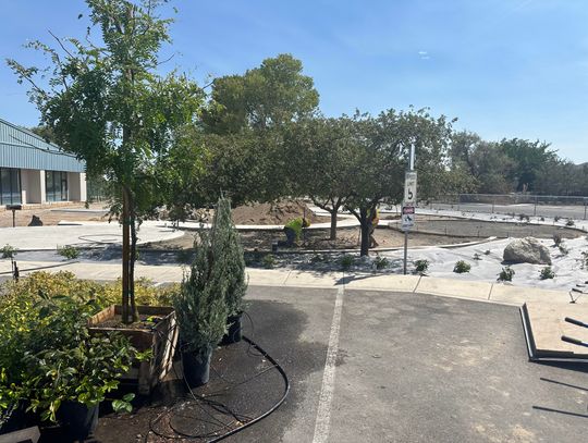 Phase I of Harmony Park nears completion