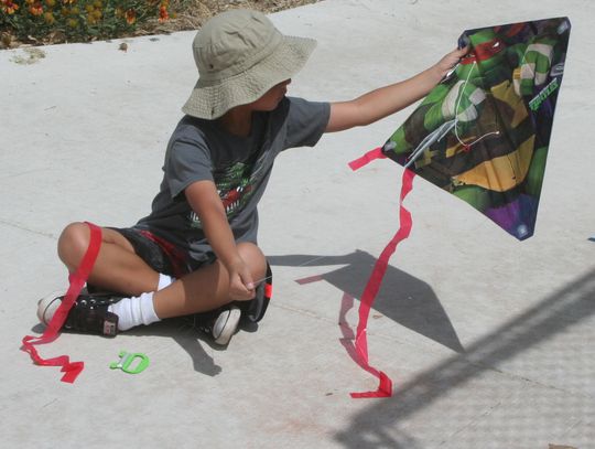 Photos: Fernley Kite and Frisbee Festival, July 24