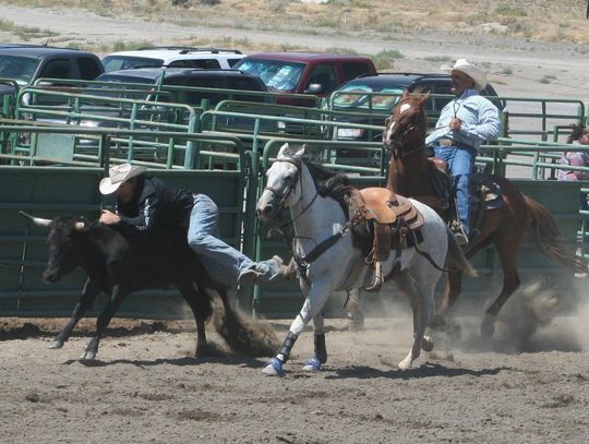 Photos: Fernley Senior Pro Rodeo, Aug. 14