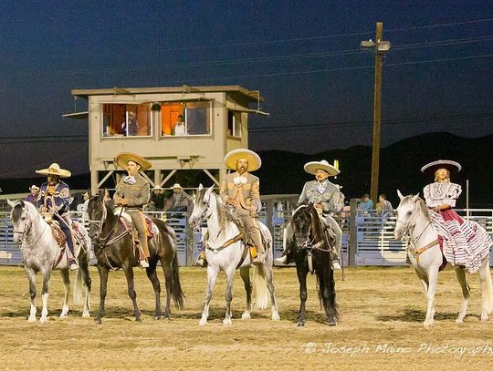 Photos: Mexican Dancing Horses Aug. 13