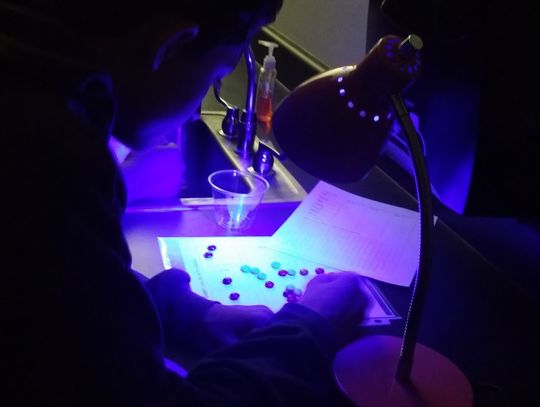 Photos: SMS class studies light