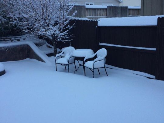Pictures of snow, Jan 5, 2017