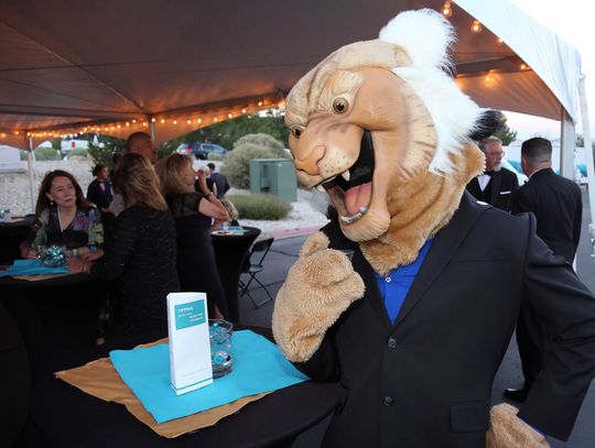 Reach for the Stars on Aug. 11 to help students, academics