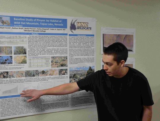 Record number of WNC science students participate in research work