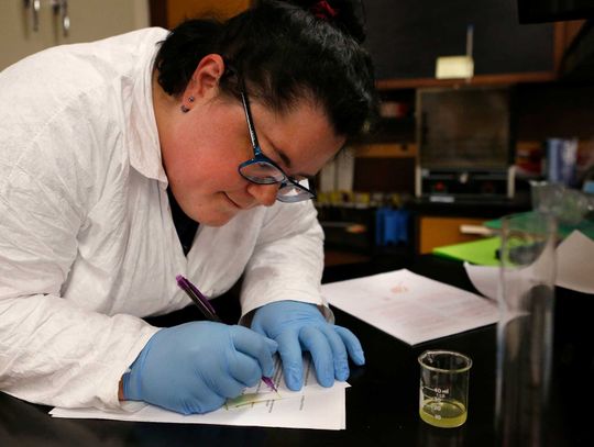 Register now for Winter, Spring Classes at WNC