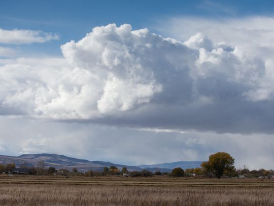 Rural Nevadans face ‘major crisis’ in neurological services, at higher risk for Alzheimer’s, dementia