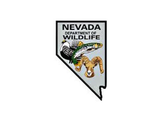 Saturday is Free Fishing Day, Discover Nevada State Parks Day