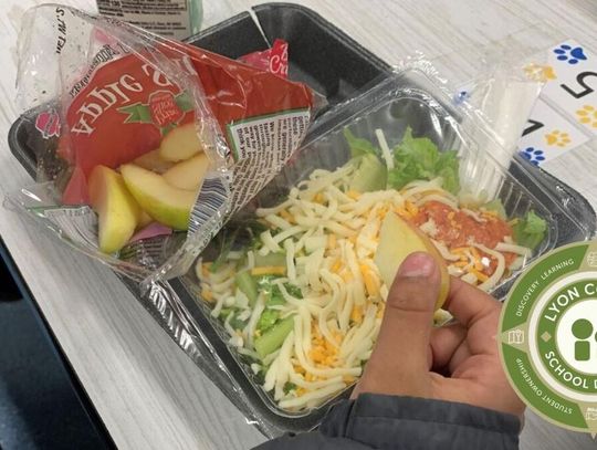 School district to provide free summer meals and meal kids for students