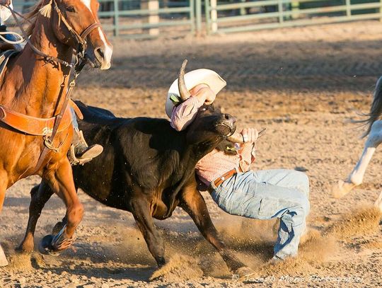 Senior Pro Rodeo Aug. 11