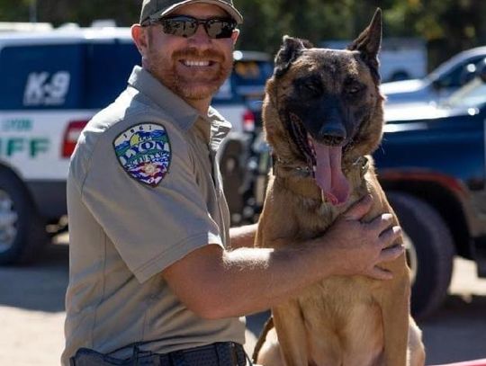 Sheriff’s Office receives another donation of K9 body armor