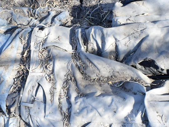 Sheriff’s still awaiting ID of body found last year