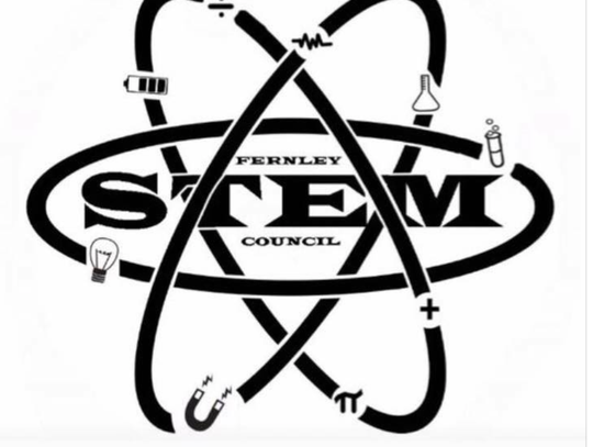 STEM Art Competition Jan 20, 2018