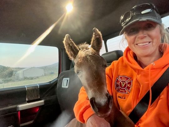 <strong>Large Animal Rescue Team seeks volunteers</strong>