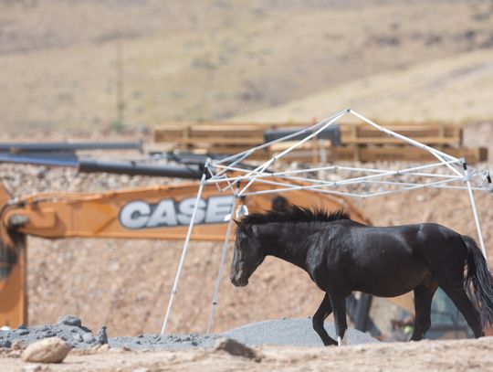 'The deal was rushed:' Records show company skeptical of state financing, discussions to restructure public water district