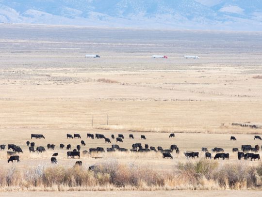 Utah’s bid for control of federal land gets support from Elko commissioners