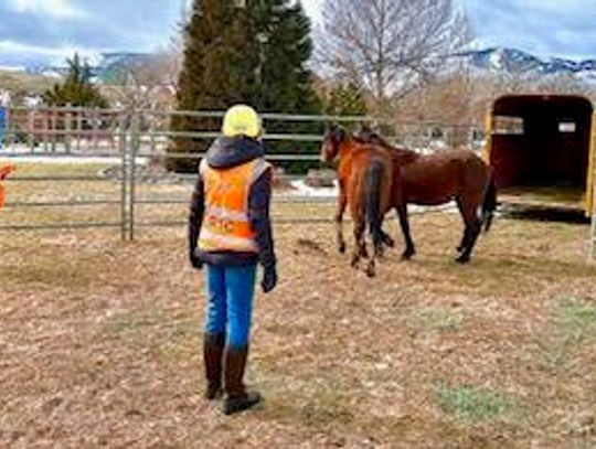 Volunteers needed for Large Animal Technical Rescue