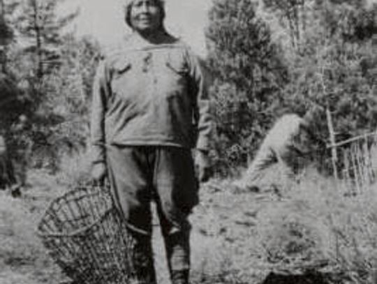 Washoe Tribe exhibit on display at WNC