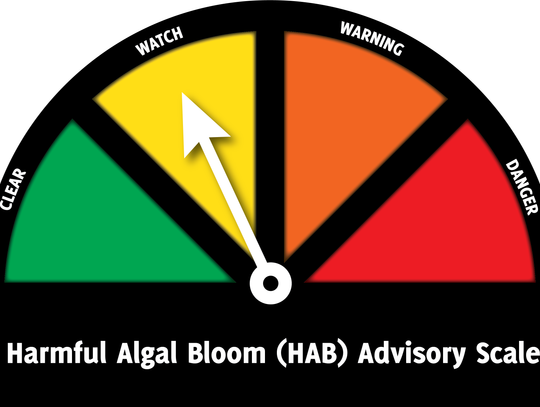 Water testing underway after possible algae bloom spotted at Lahontan Reservoir